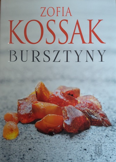Zdjęcie okładki książki "Bursztyny" autorstwa Zofii Kossak