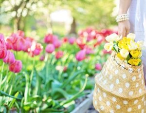 Z wiosną pod rękę